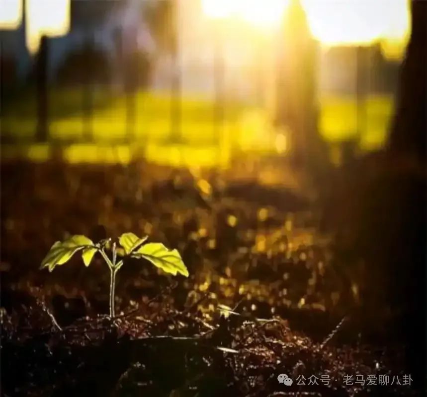 讲生活趣事的博主_生活博主vlog_有趣的博主简介