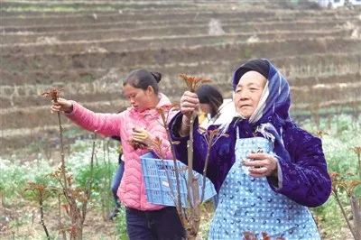 营养餐配送中心_水城营养餐配送_配送营养餐需要什么资质