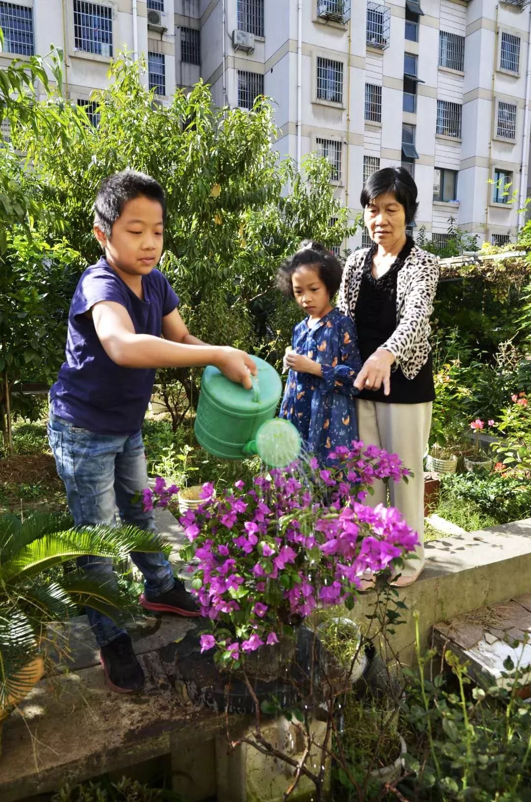 用电环保科普知识资料大全_如何环保用电_环保生活用电技巧