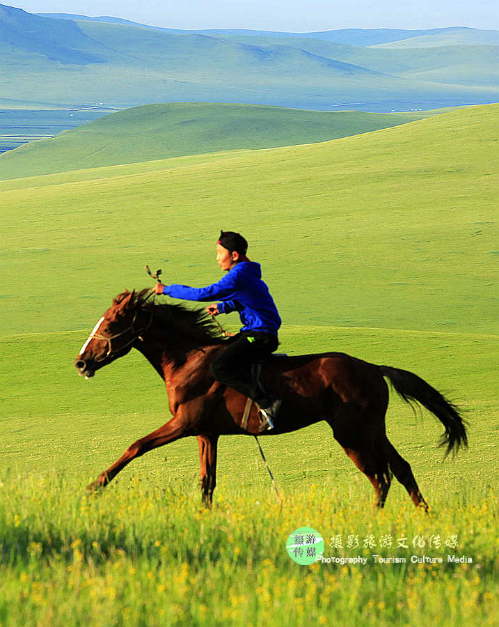 跑马运动_跑马运动鞋_跑马运动员寿命一览表