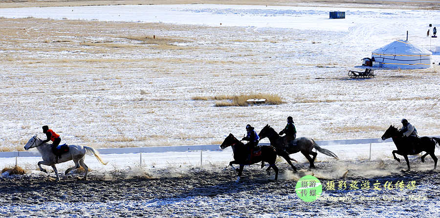 跑马运动员寿命一览表_跑马运动鞋_跑马运动