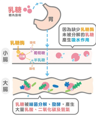 c营养粉_营养餐粉适合所有人吃吗_营养餐粉成人